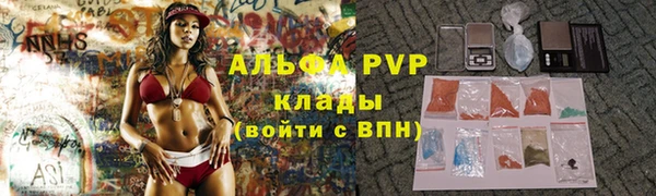 амф Белая Холуница
